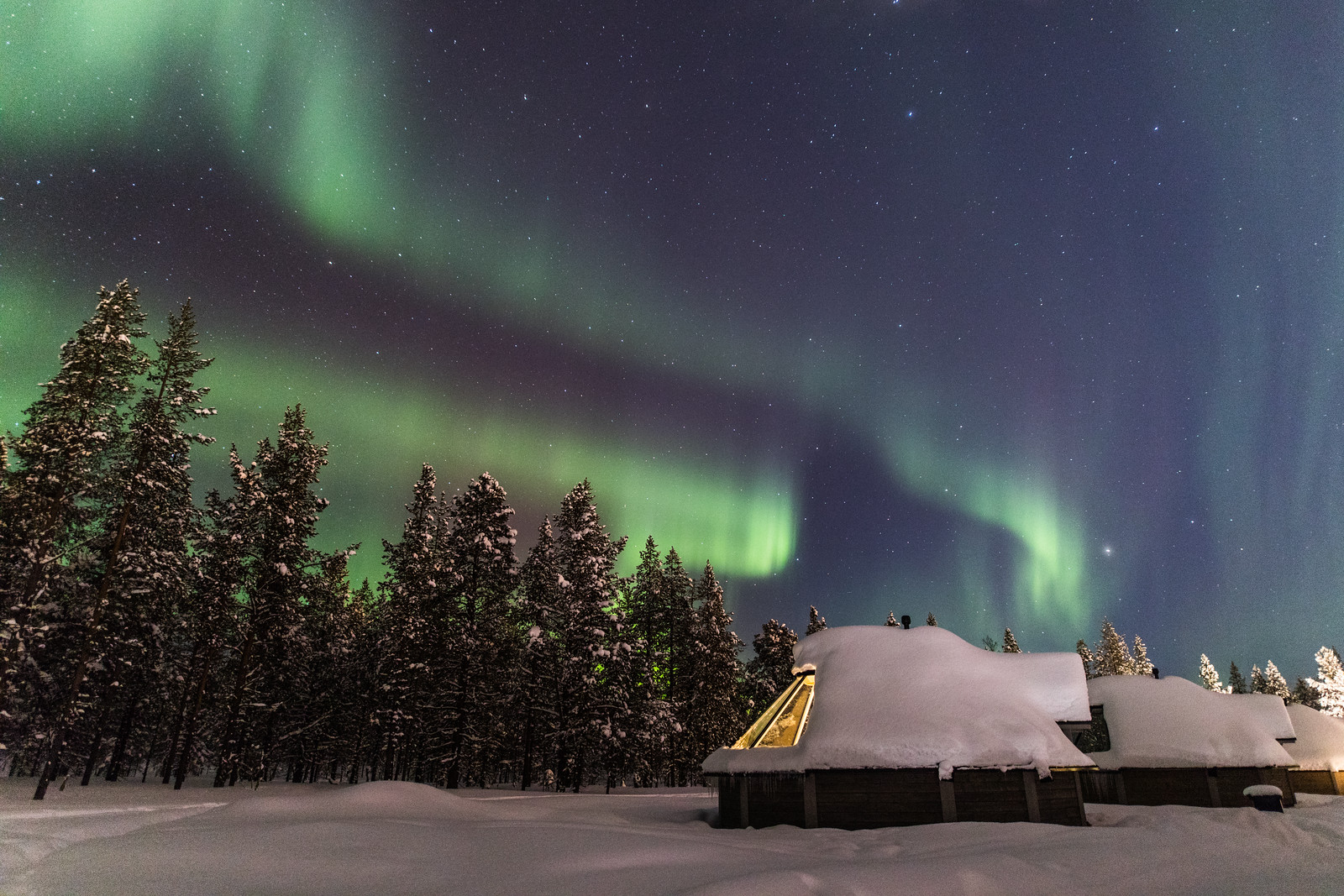 Northern Lights over the Aurora Cabins